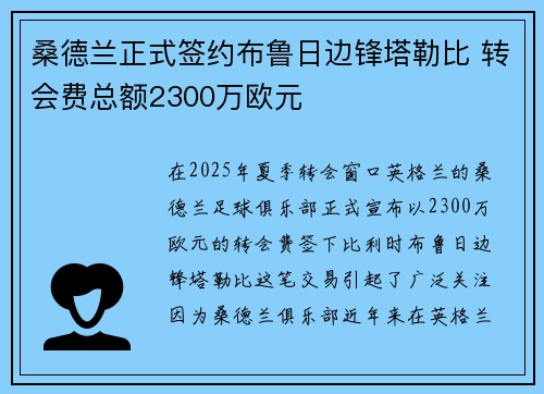 桑德兰正式签约布鲁日边锋塔勒比 转会费总额2300万欧元